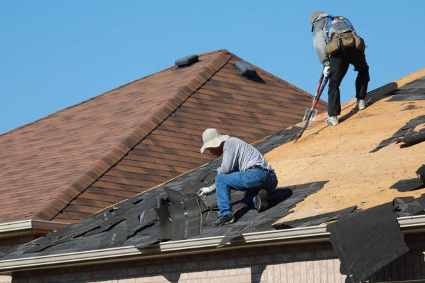 Best Green or Eco-Friendly Roofing Solutions  in Woodlawn Beach, FL