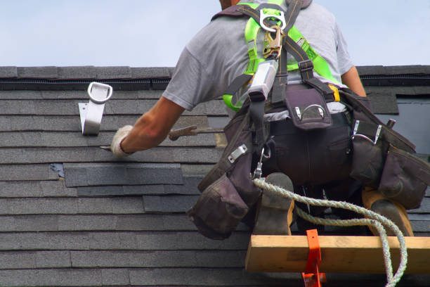 Best Roof Insulation Installation  in Woodlawn Beach, FL